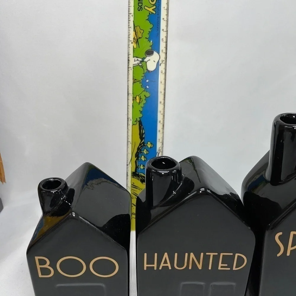 Halloween Black House Bud Vase Set Spooky